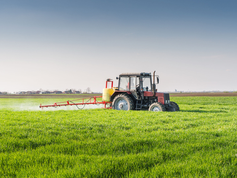 industria agropecuaria